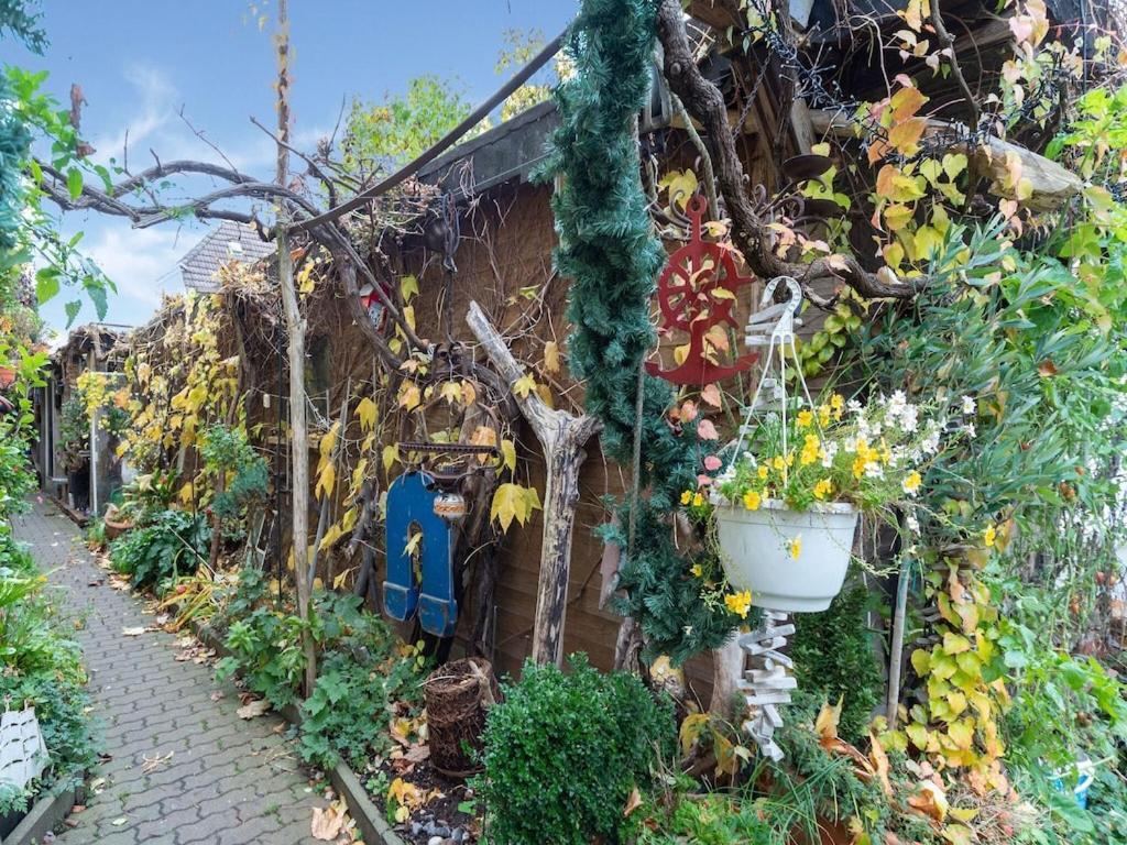 Holiday Flat With Garden In Wißmar Екстериор снимка
